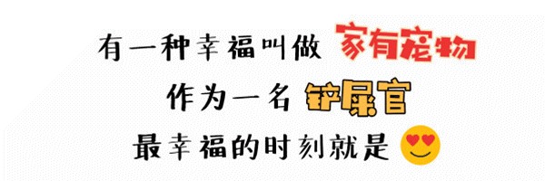 重磅！常州人有宠物的请注意千万别给它拍照！不然会被人……