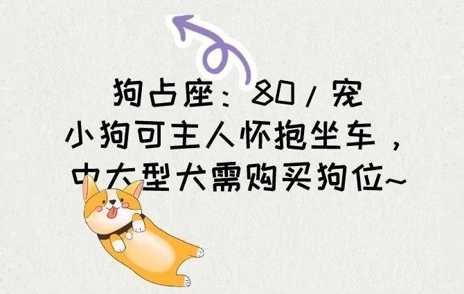 杭州到湖州首辆狗狗巴士即将上线跟团费99元起